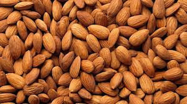 تصویر 3 از خرید بادام کوهی مرغوب + قیمت فروش استثنایی